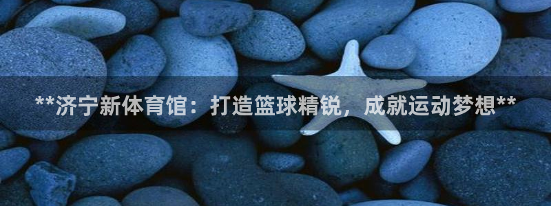 极悦娱乐登录拒绝访问怎么办理：**济宁新体育馆：打造
