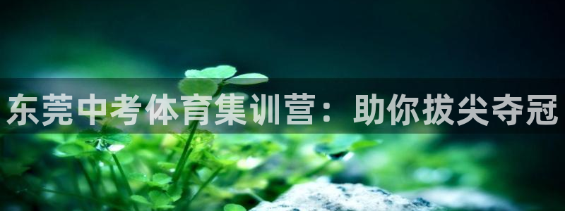 极悦平台官方网站登录：东莞中考体育集训营：助你拔尖夺