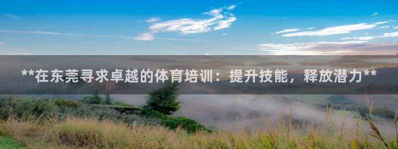 极悦平台用户评价与反馈：**在东莞寻求卓越的体育培训
