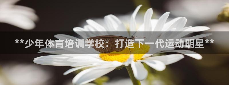 极悦官网：**少年体育培训学校：打造下一代运动明星*