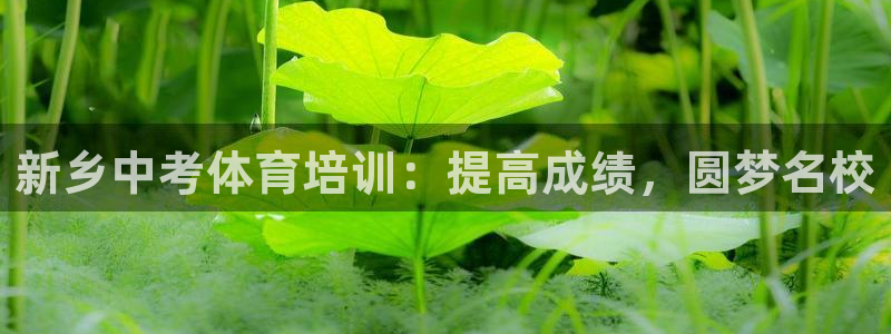 极悦平台官网登录：新乡中考体育培训：提高成绩，圆梦名