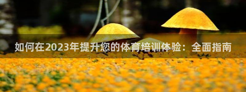 极悦平台创始人背景故事视频：如何在2023年提升您的