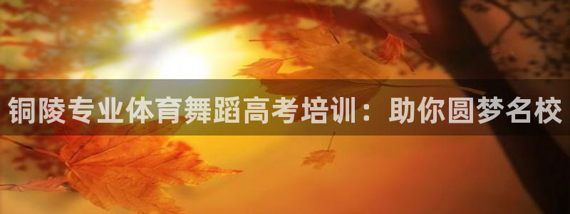 极悦平台官网登录入口网址：铜陵专业体育舞蹈高考培训：