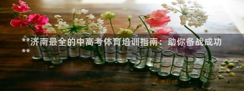 极悦平台是干什么的：**济南最全的中高考体育培训指南