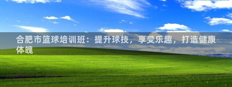 舒客极悦牙膏：合肥市篮球培训班：提升球技，享受乐趣，