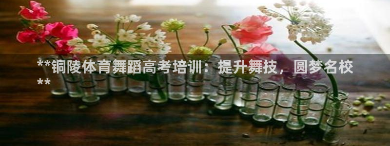 极悦平台官网登录：**铜陵体育舞蹈高考培训：提升舞技