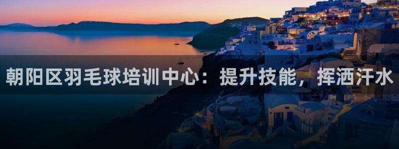 极悦平台注册登录入口在哪：朝阳区羽毛球培训中心：提升