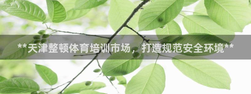 极悦官方网站app下载软件：**天津整顿体育培训市场