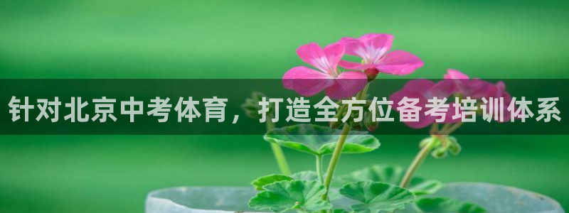 极悦平台用户评价：针对北京中考体育，打造全方位备考培