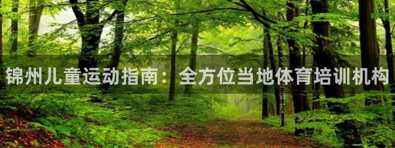 极悦娱乐旗下艺人名单：锦州儿童运动指南：全方位当地体
