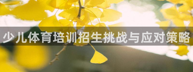 极悦平台官方网站入口下载：少儿体育培训招生挑战与应对