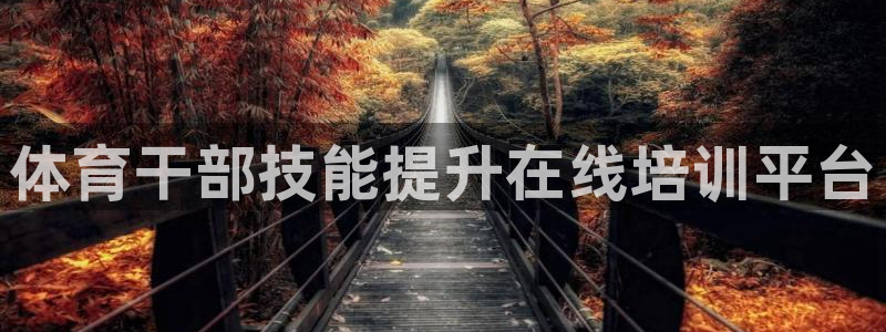 极悦平台客服团队：体育干部技能提升在线培训平台