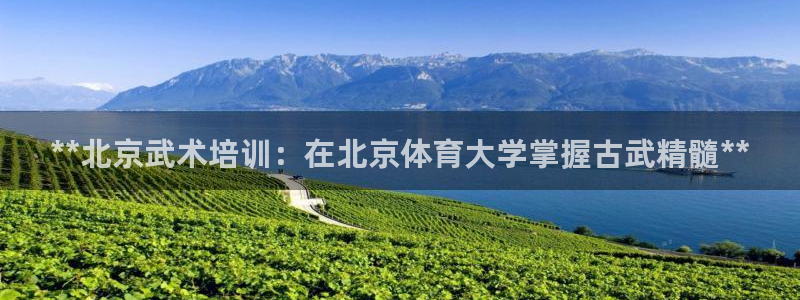 极悦平台注册用户名验证码是什么：**北京武术培训：在