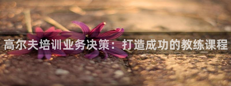 极悦平台布7O777：高尔夫培训业务决策：打造成功的