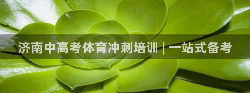 极悦平台官网登录入口网址查询：济南中高考体育冲刺培训