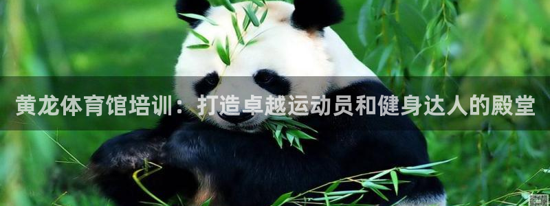 极悦娱乐现在叫什么：黄龙体育馆培训：打造卓越运动员和