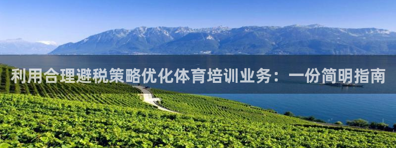 极悦平台注册和登录页面：利用合理避税策略优化体育培训