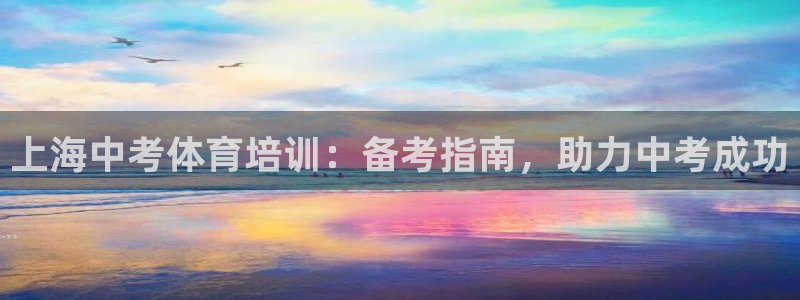 极悦娱乐方7O777：上海中考体育培训：备考指南，助
