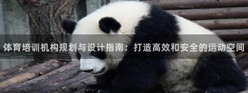 极悦平台注册官方网站下载安卓：体育培训机构规划与设计