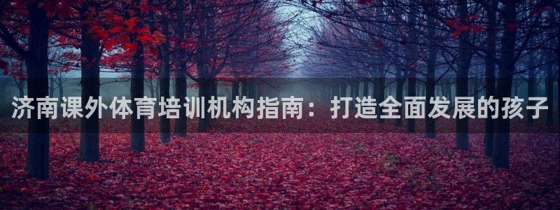 极悦娱乐的最新版本更新内容：济南课外体育培训机构指南