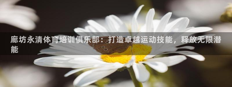 极悦平台平台登录入口：廊坊永清体育培训俱乐部：打造卓