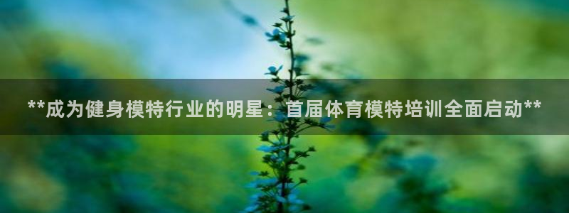 极悦娱乐app官方版本更新内容：**成为健身模特行业