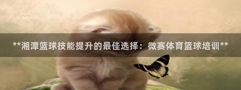 极悦娱乐会被骗吗：**湘潭篮球技能提升的最佳选择：微