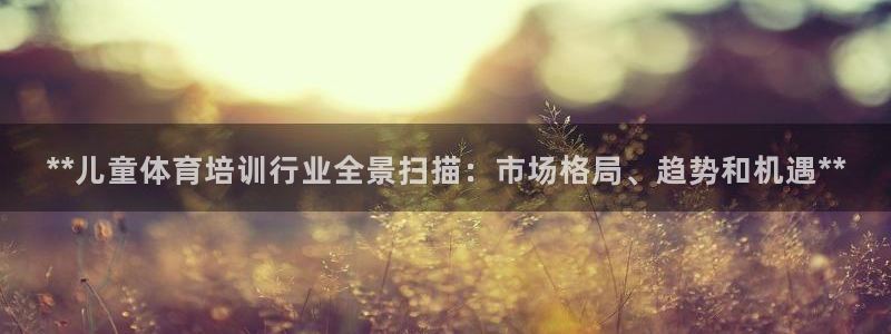 极悦平台注册用户名验证：**儿童体育培训行业全景扫描