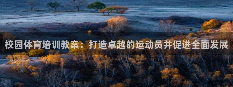 极悦平台用户评价在哪里看：校园体育培训教案：打造卓越