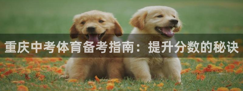 极悦平台官方网址是什么：重庆中考体育备考指南：提升分