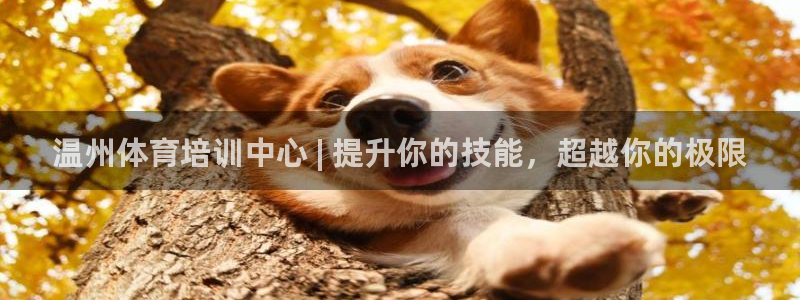 极悦娱乐会被骗吗知乎文章：温州体育培训中心 | 提升