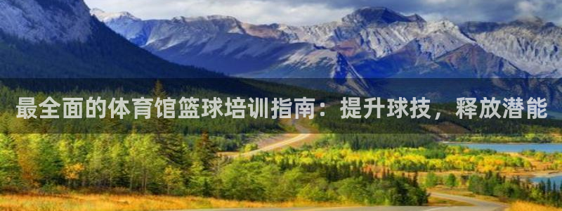 极悦平台注册官网网址：最全面的体育馆篮球培训指南：提