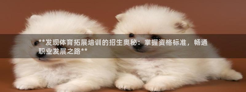 极悦平台网址皮皮虾下载：**发现体育拓展培训的招生奥