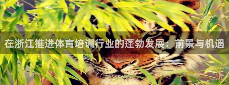 极悦娱乐代理怎么样可靠吗：在浙江推进体育培训行业的蓬