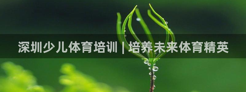 极悦平台官网下载中心：深圳少儿体育培训 | 培养未来