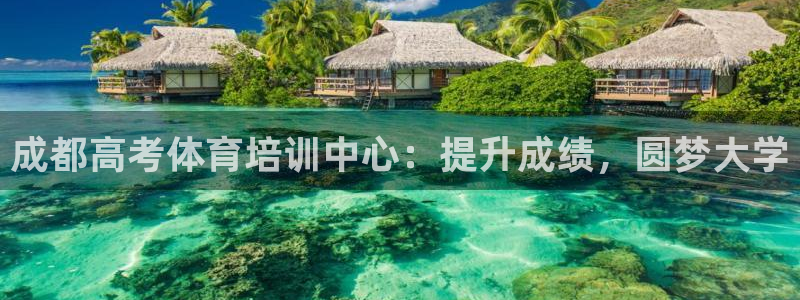 极悦平台官方网站下载安装：成都高考体育培训中心：提升