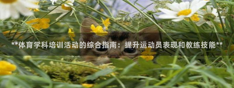 极悦牙膏好吗：**体育学科培训活动的综合指南：提升运