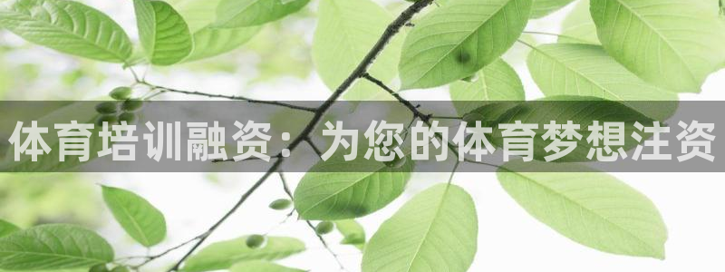 极悦平台官方网站下载安装：体育培训融资：为您的体育梦