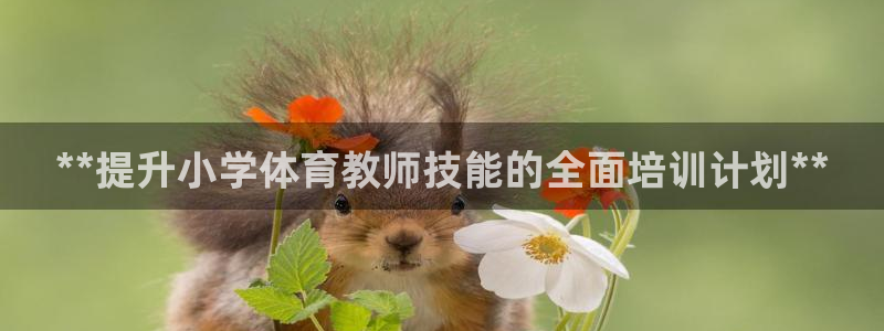 极悦官网：**提升小学体育教师技能的全面培训计划**