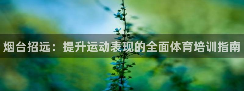 极悦平台使用教程：烟台招远：提升运动表现的全面体育培