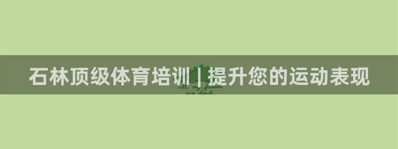 极悦娱乐股东有哪些：石林顶级体育培训 | 提升您的运