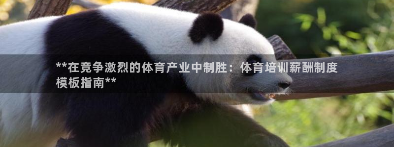 极悦平台使用教程视频：**在竞争激烈的体育产业中制胜