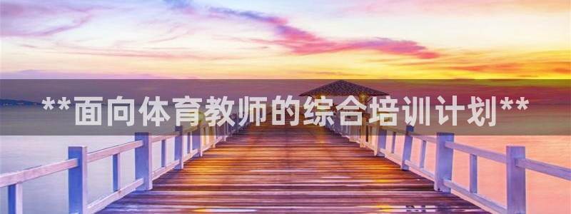 极悦平台注册用户名生成器是什么：**面向体育教师的综