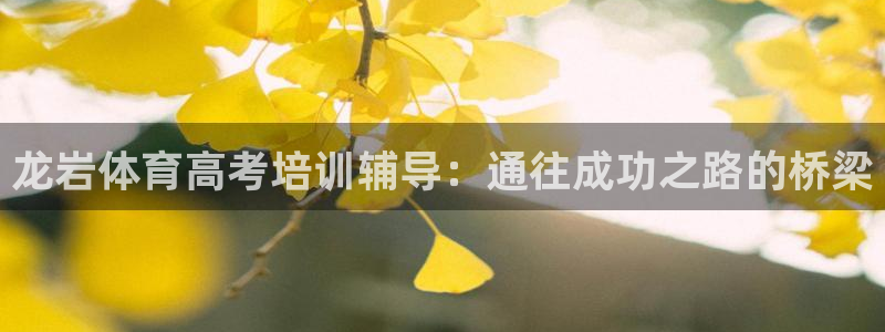 极悦平台注册登录入口官网：龙岩体育高考培训辅导：通往