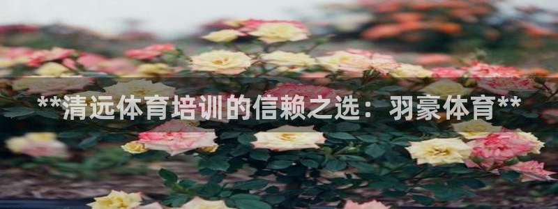 极悦生活家是什么平台：**清远体育培训的信赖之选：羽