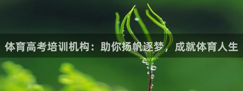 极悦娱乐分7O777：体育高考培训机构：助你扬帆逐梦