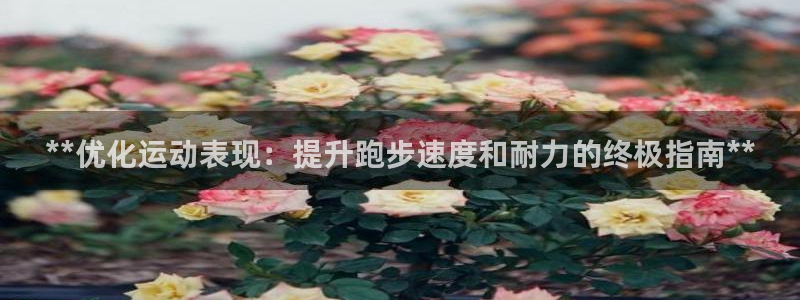 极悦官网注册最新版本更新内容：**优化运动表现：提升
