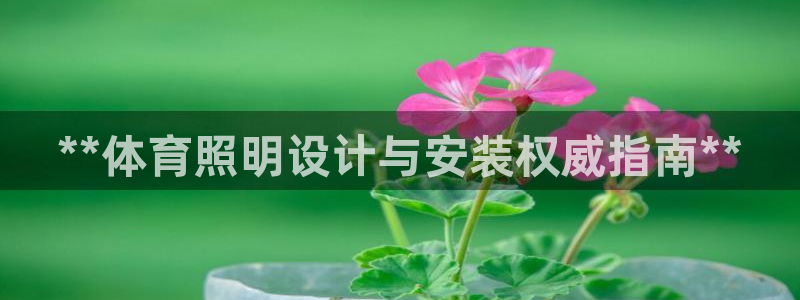 极悦平台官方网站登录网址：**体育照明设计与安装权威
