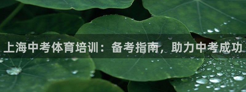 极悦娱乐的背景和历史背景是什么：上海中考体育培训：备