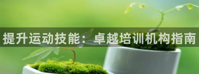 极悦娱乐的背景和历史背景介绍：提升运动技能：卓越培训机构指南